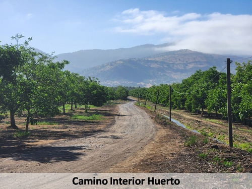 Campo Nogales Productivo Oportunidad