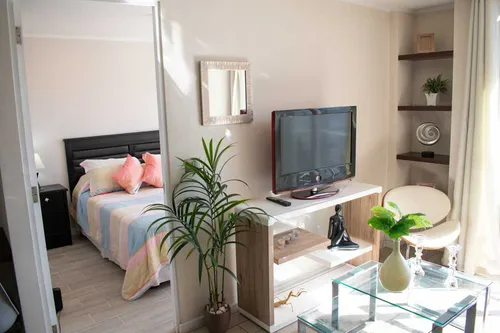 Arriendo Depto Amoblado 1 Habitación - Morandé (3485)