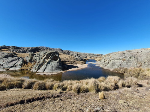 Imagen 26 de 30 de Se Vende Espectacular Fraccion De 70 Hectareas Con Agua, Pastizal, Vistas Unicas, Red 4g Personal En Los Gigantes