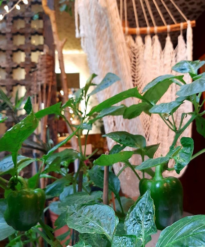 Imagen 9 de 12 de Hermoso Departamento En Cdmx !!!, 52613