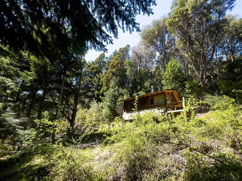 Venta Excelente Lote De 3300m2 Ubicado En Circuito Chico Bariloche