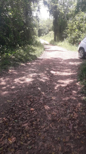Imagem 22 de 29 de Chácaras Na Praia À Venda Em Itanhaem/sp - Compre O Seu Chácaras Na Praia Aqui! - 1488897
