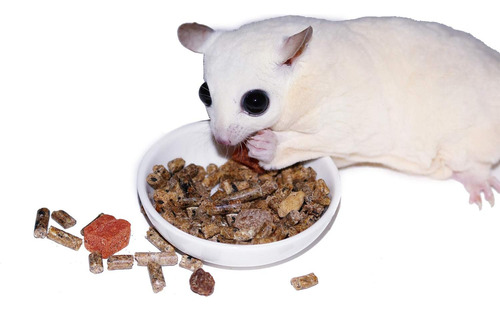 Alimento Proteinas Pellets Fruta Planeadores De Azucar