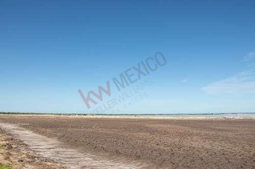 Imagen 3 de 6 de Excelente Oportunidad De Tierras Colindantes A La Marisma Y Canal La Draga .