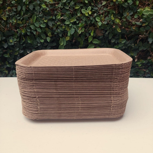Platos Charola Carton Bandeja Desechable 100 Pzas 23x18 Cm Color Caqui