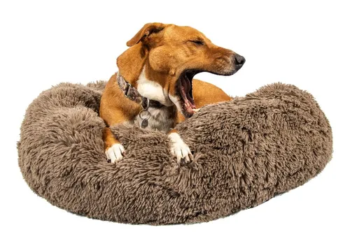 Cama perro 2025 pelo