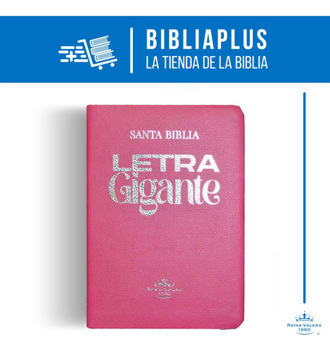 Biblia Reina Valera 1960 Letra Gigante Con Cierre