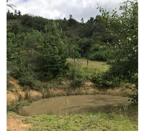 Magnífico Lote, Vereda Centro, Fúquene Cundinamarca
