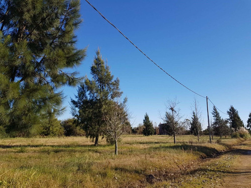 Imagen 4 de 18 de Fincas Del Río Lote N° 6 De 850 M2 Cayastá