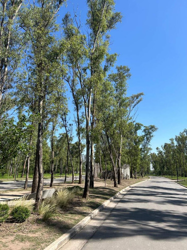 Nuevo Malagueño Lote De 250 M2
