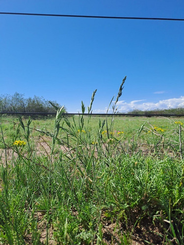 Campo Mixto, 300 Ha, A 7 Km De La Localidad De Parera En La Pampa. U$s 2.500/ha