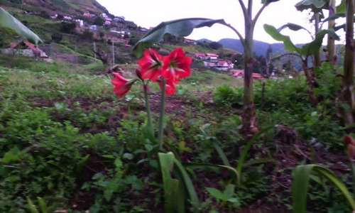 Imagen 6 de 21 de Se Vende Finca 20.748 M2 El Jarillo