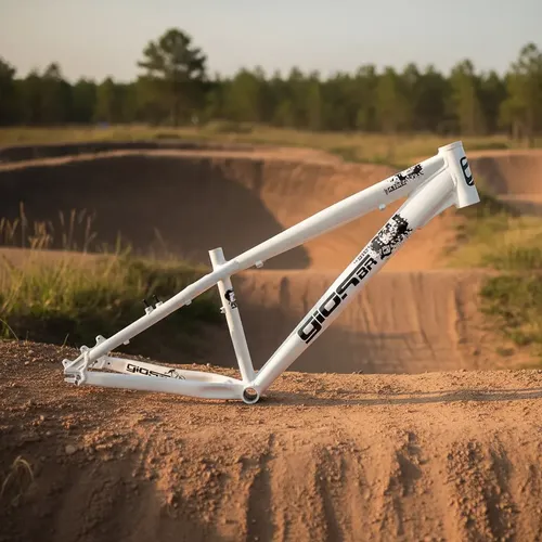 Quadro Gios 4trix Linha 2026 Grau Dirt Jump Bmx Lançamento