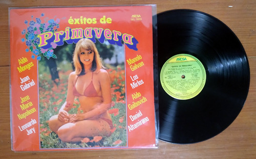 Exitos De Priavera 1980 Disco Lp Vinilo