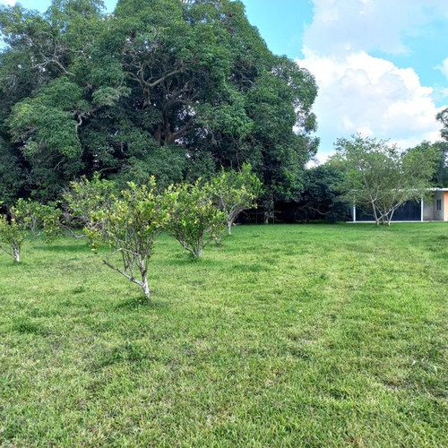 Venta Terreno 7500 M² Con Casa Frente A Estero Tuxpan Veracruz