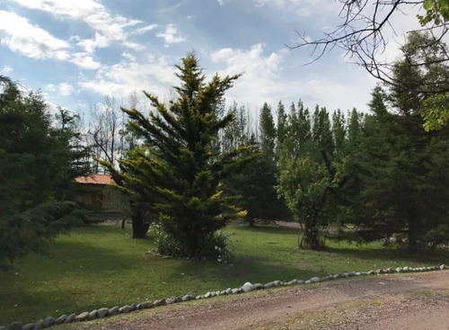 Casa En Venta - 5 Dormitorios 3 Baños - Cocheras - 30.780mts2 - Rama Caída, San Rafael