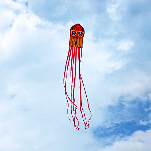 Cometa Animal De Dibujos Animados De Pulpos Con Cola Larga P