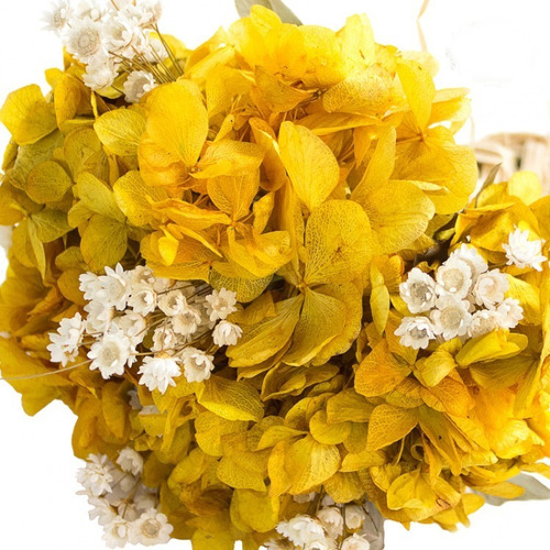 Flores Desidratadas - Buquê Casamento Civil Amarelo 