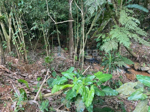 Imagem 16 de 17 de Terreno À Venda No Bairro Moura - Canelinha/sc - 2171t