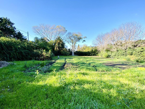 Imagen 4 de 19 de Espectacular Terreno Lote En Venta En Martinez Calle Semi Cortada