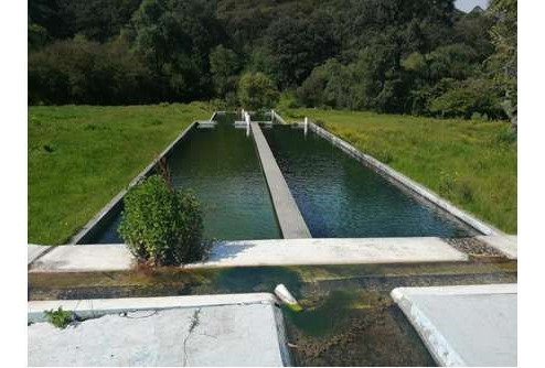 Rancho En Venta, San Bartolo Morelos, Estado De México