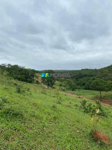 Imagem 9 de 15 de Fazenda - Zona Rural - Ref: 5534 - V-mta5534