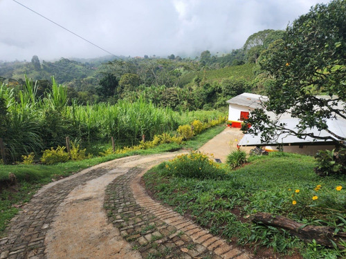 Imagen 17 de 20 de Venta De Finca Cafetera En Jericó Antioquia