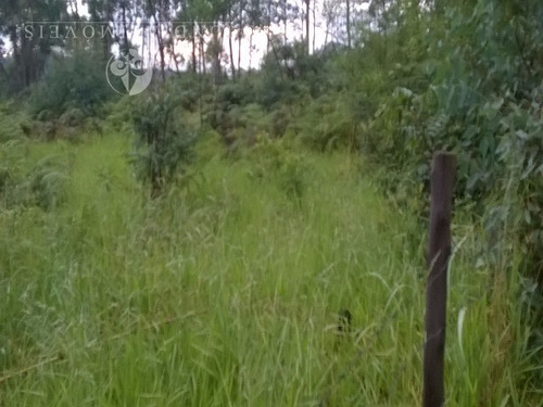 Imagem 9 de 13 de Vendo Terreno No Jardim Caxambú Em Jundiaí - Te00048 - 2844868