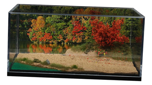 Cenário De Fundo De Riverside Lakeside Em Escala 1:64 Com