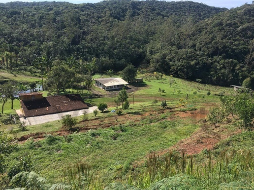 Imagem 5 de 14 de Fazenda Produtiva Com Aprox. 60 Mil Metros De Área Aberta, Cercada Por Mata Nativa E Belezas Naturais. Possuí 600 Pés De Amora Negra + 900 Frutíferas! - 176 - 69951742