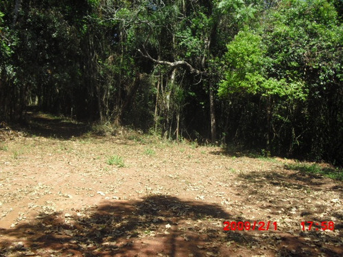 Imagem 8 de 12 de Terreno Ressaca 12000m2 Com Riacho