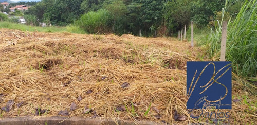 Imagem 4 de 9 de Terreno - Te00048 - 68374948