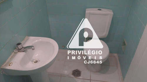 Apartamento Para Aluguel, 1 Quarto, Laranjeiras - Rio De Janeiro/rj - 29489