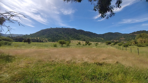 Parcela Plana 5.000 Mt2 Hermosa Vista, Los Maitenes Sta.cruz