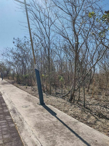 Imagen 4 de 8 de Super Oportunidad!!terreno En Venta Country Club Campeche Co