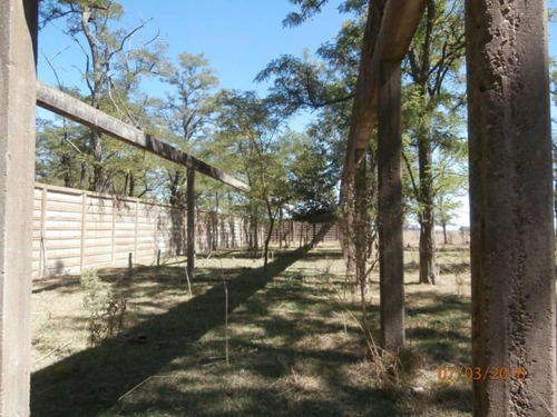 Imagen 12 de 25 de Campo Alto A 60 Km Del Ovelisco 376 Hectareas Con Mejoras