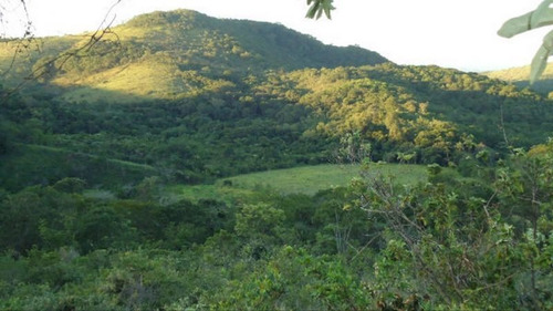 Imagem 8 de 8 de Terreno / Área Para Comprar No Zona Rural Em Cordisburgo/mg - 34