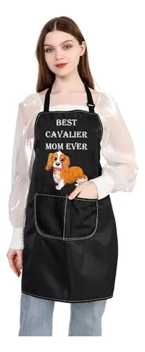Regalo Bdpwss Cavalier King Charles Spaniel A La Mejor Mamá