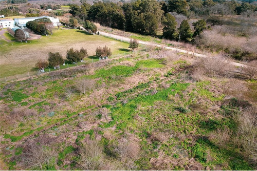 Fraccion De Tierra/ Lotes En Venta En Villa Elisa