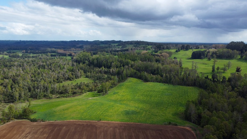 Campo En La Unión Cercano Al Lago Ranco 27,4 Hectáreas