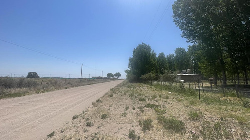 Imagen 19 de 26 de Finca En Las Paredes Con Bosque De Álamos, 2 Casas Y Galpón