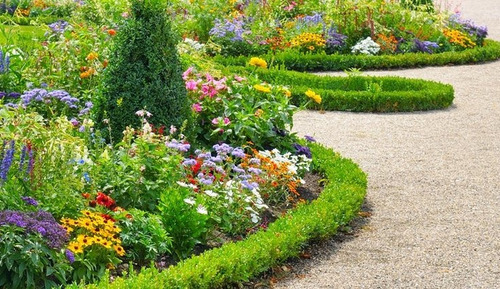 Servicio De Jardinería Integral1158437820multinivel