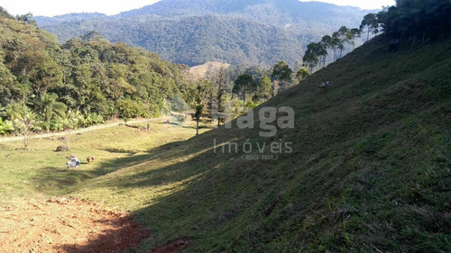 Imagem 9 de 9 de Chácara À Venda No Bairro Testo Alto - Pomerode/sc - 2261c