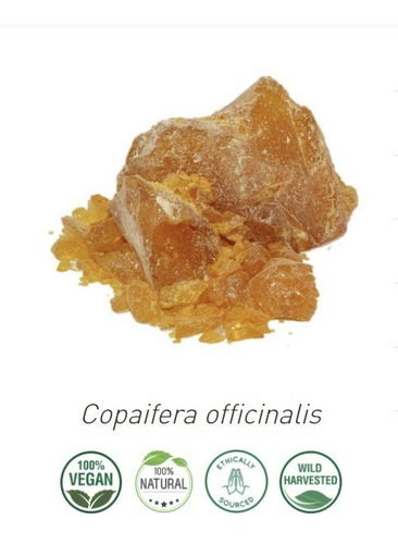 Imagen 2 de 7 de Aceite Copaiba (esencial) 10 Ml 100% Puro