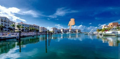 For Rent Apartamento En La Marina De Cap Cana De 3 Habitaciones Hermosa Vista Y Altura 