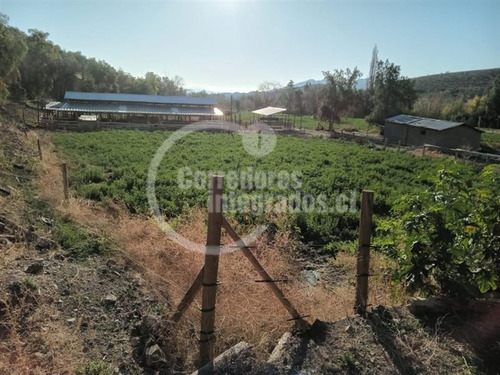 Agrícola En Venta En Combarbalá