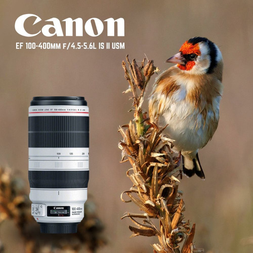 Canon Ef 100-400mm F/4.5-5.6l Is Ii Usm - Inteldeals