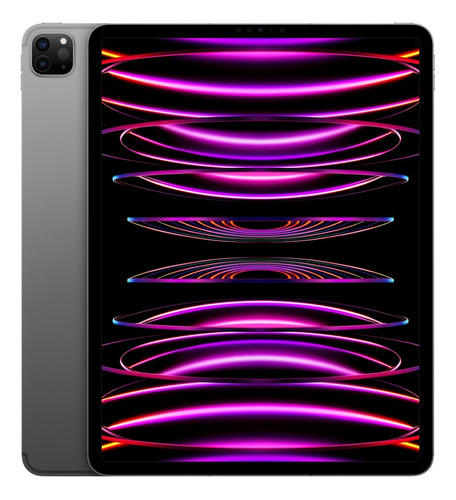 iPad pro 12,9'' 256gb Con Wifi Color Gris Espacial