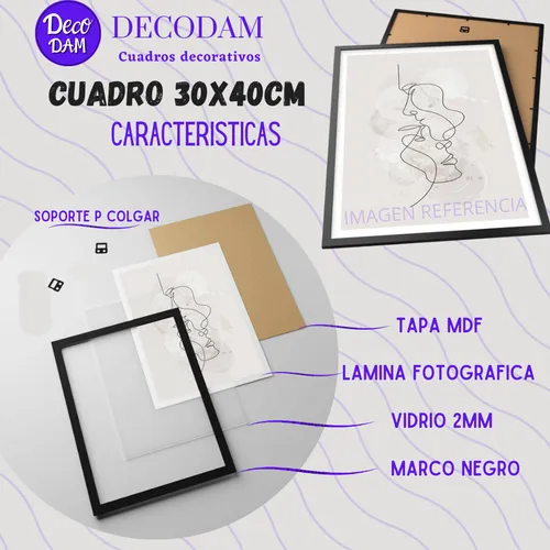 Cuadro Omar Courtz Primera Musa Album 30x40cm Con Vidrio