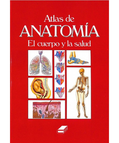 Atlas De Anatomia El Cuerpo Y La Salud Cultural